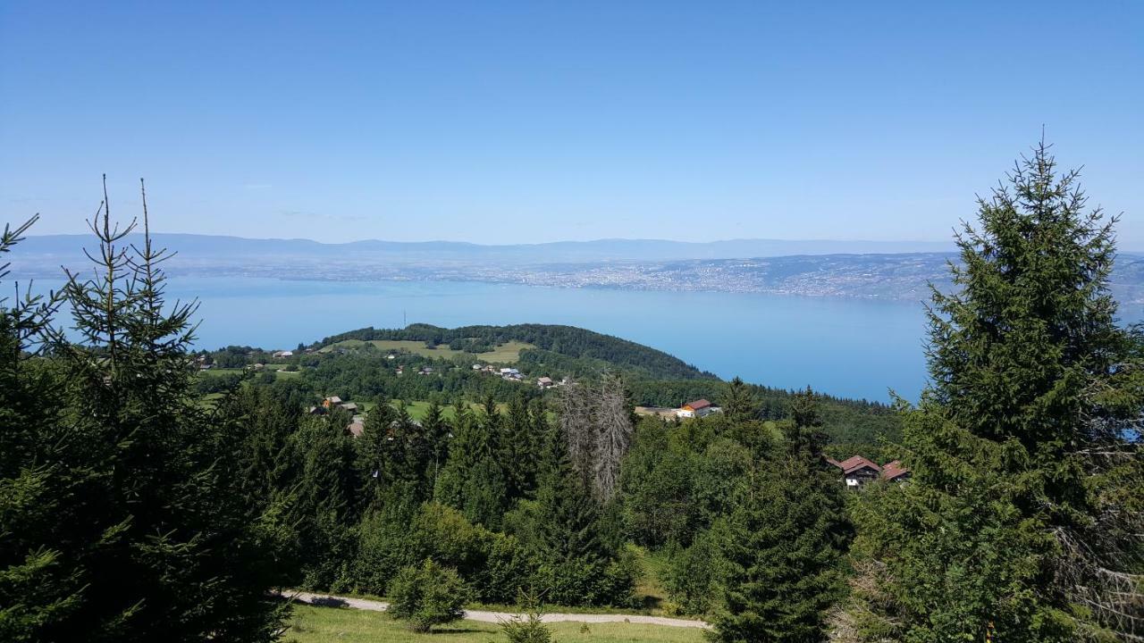 Chalet Le Telemark Thollon-les-Memises Εξωτερικό φωτογραφία