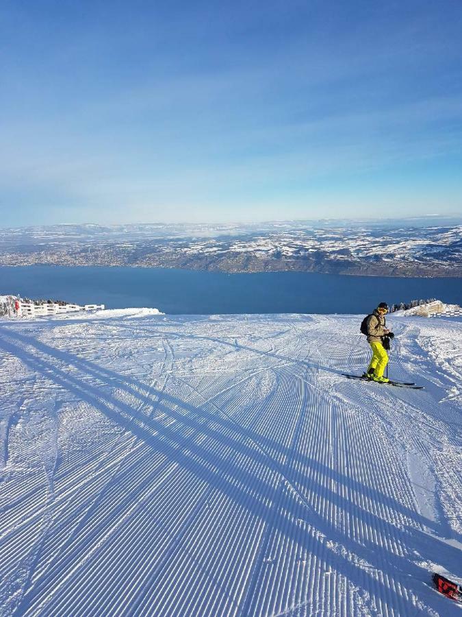 Chalet Le Telemark Thollon-les-Memises Εξωτερικό φωτογραφία